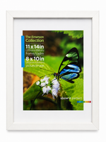 Picture Frames